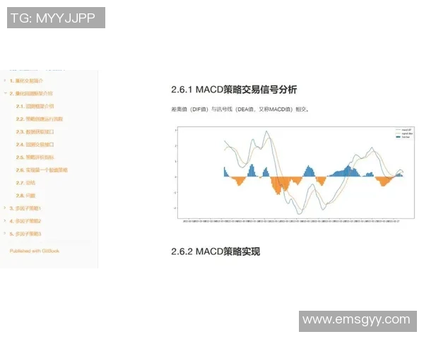 从零基础到滑板高手的全面指南与技巧分享